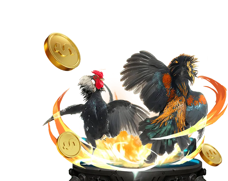 Khuyến mãi chào mừng đá gà